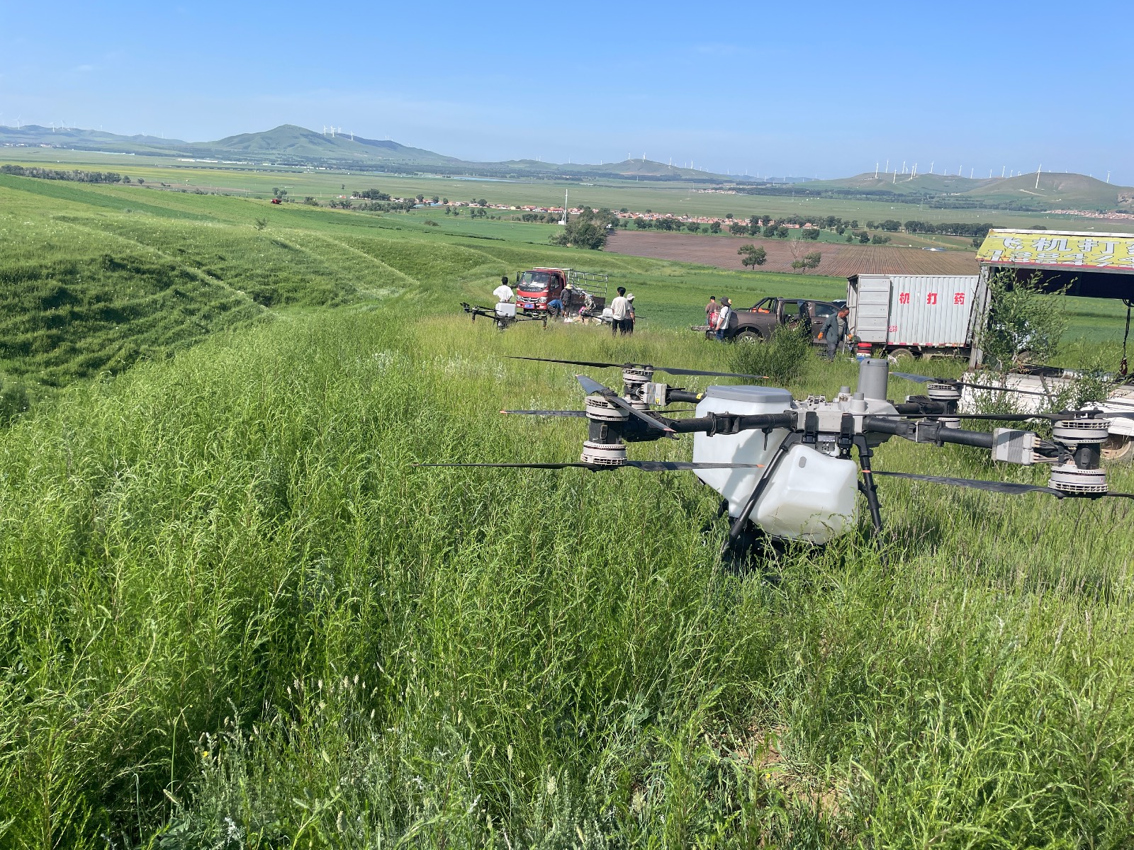 退化草原修復治理工程